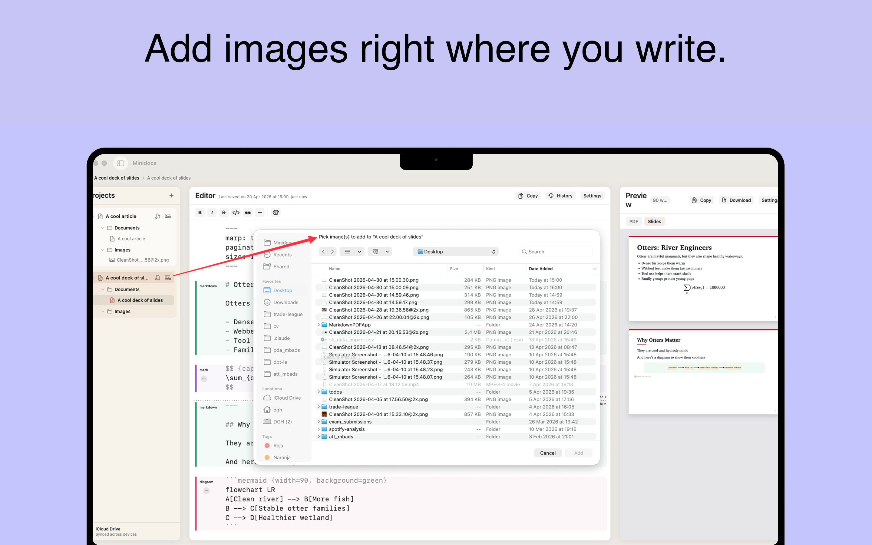 Image insertion in Minidocs