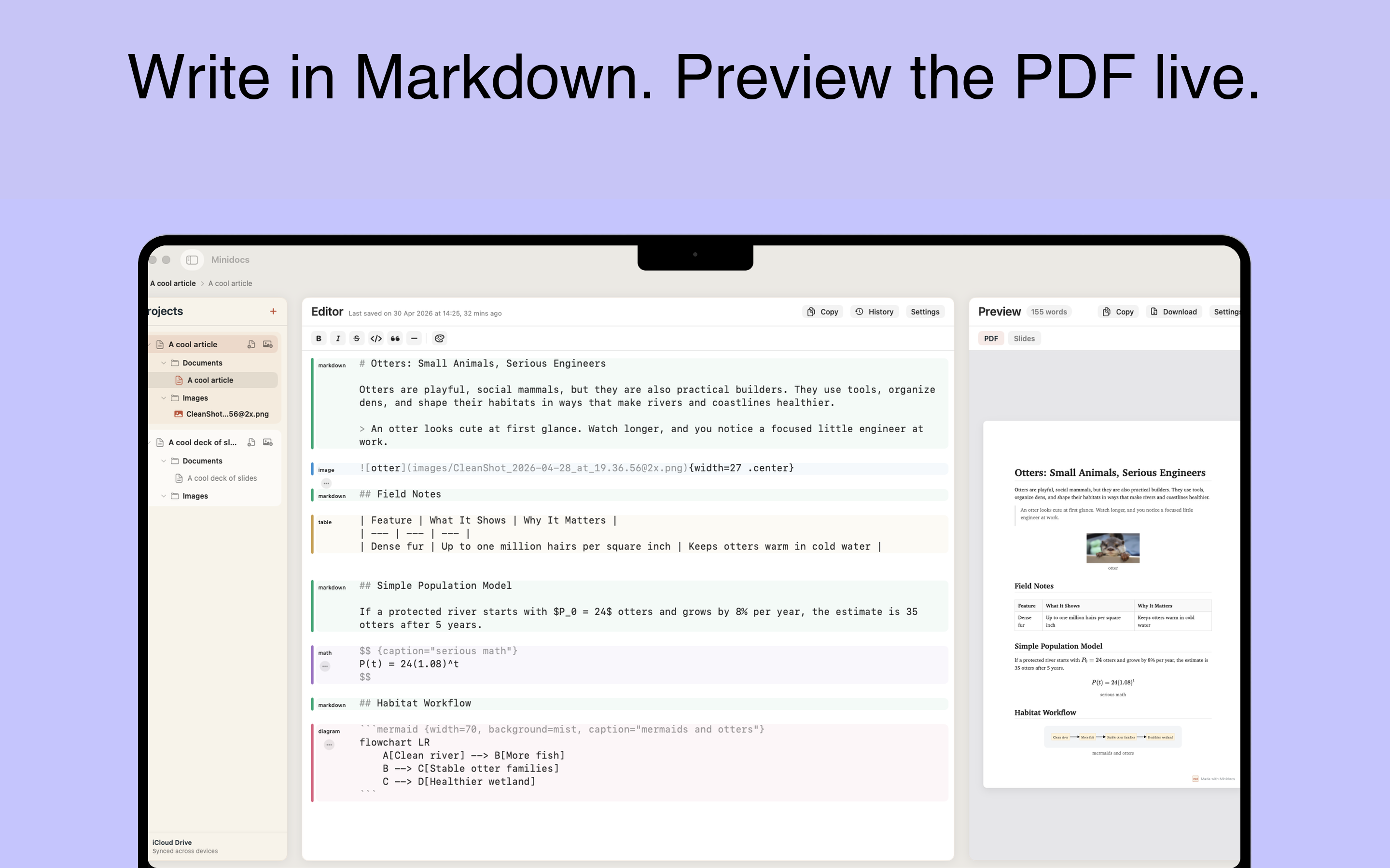 Minidocs showing a Markdown editor beside a live PDF preview