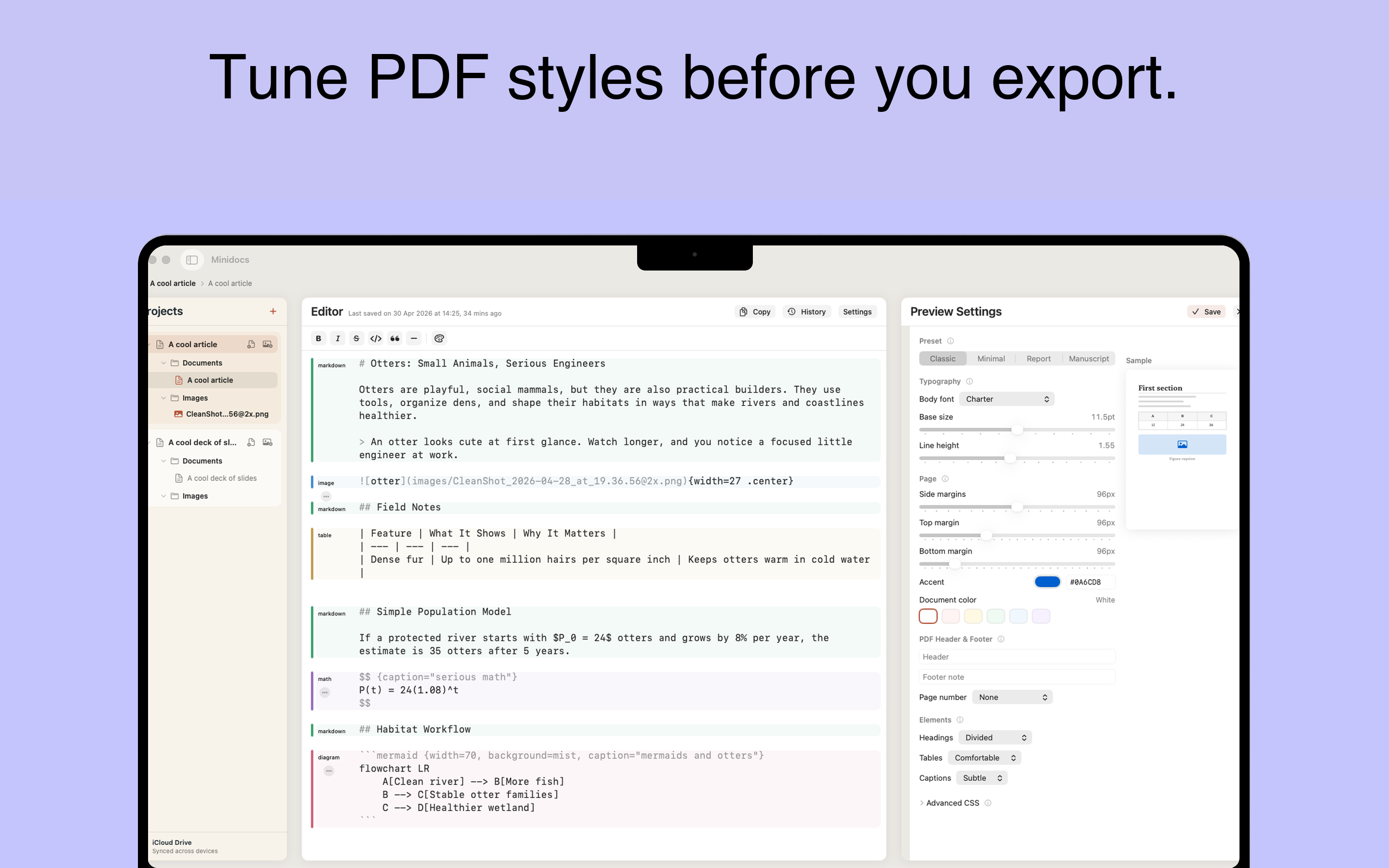 Minidocs preview style controls beside a Markdown document