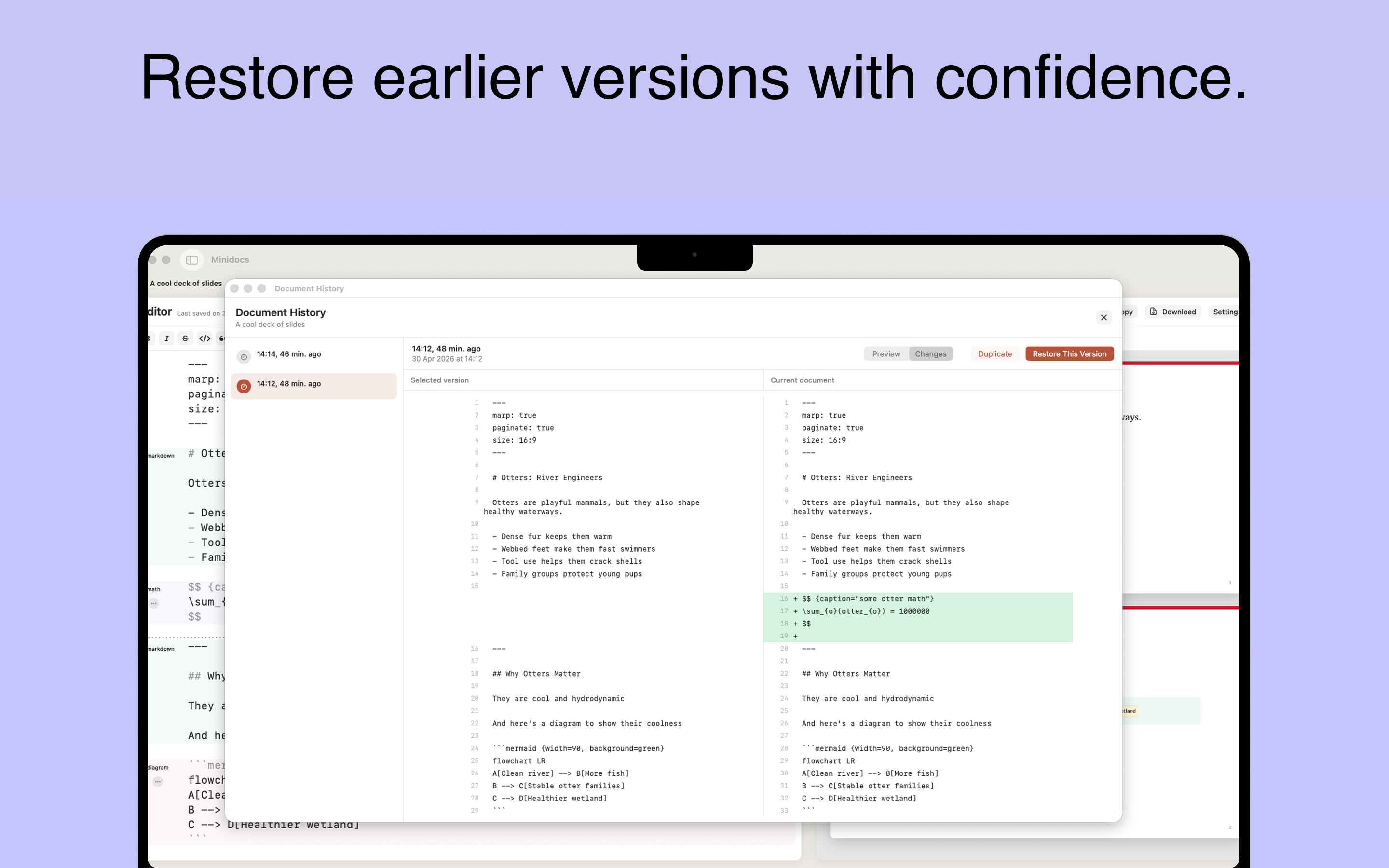 Minidocs document history comparison